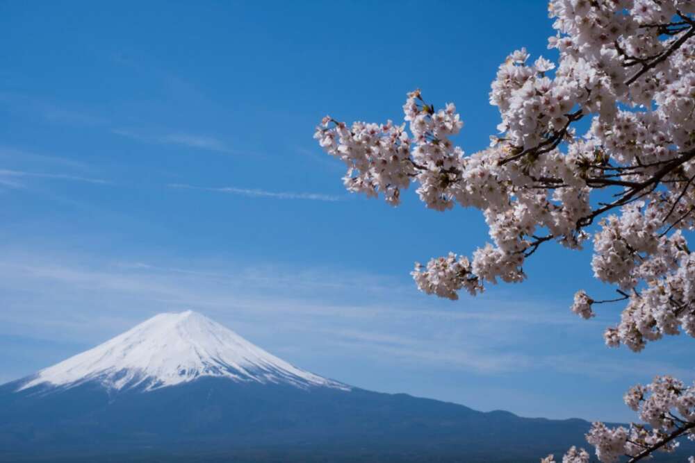 イチオシ写真